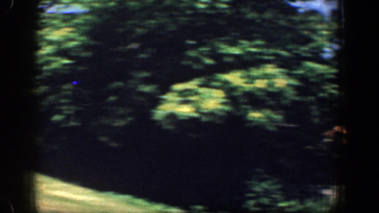 Blurred green trees and a sloping grassy area seen through dark film-frame edges.