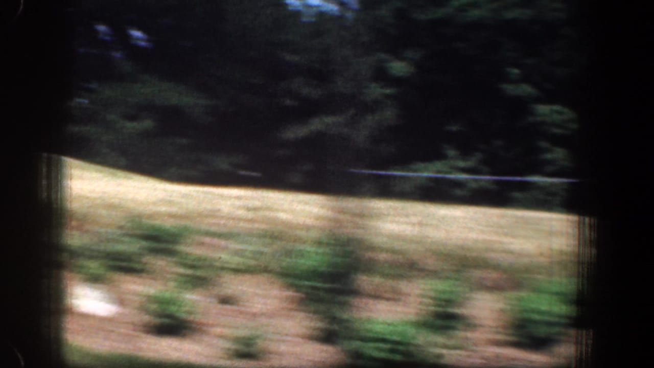 Moving 8mm view of a landscaped slope with shrubs, grass, and shaded trees in the Washington, DC-area clip.