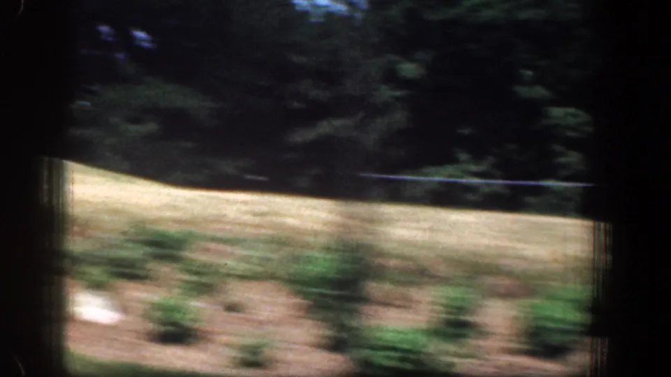 Moving 8mm view of a landscaped slope with shrubs, grass, and shaded trees in the Washington, DC-area clip.