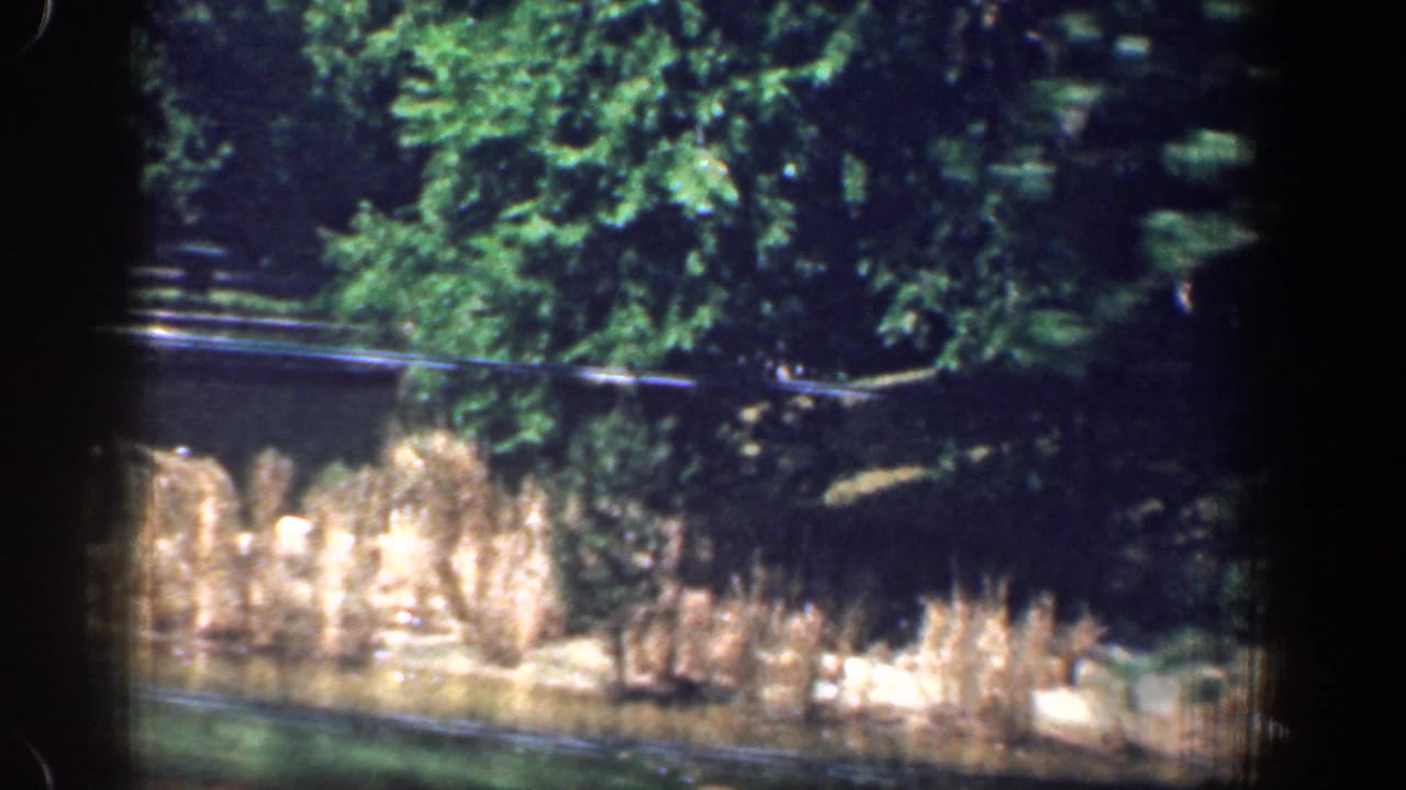 1961 8mm Washington, DC-area view of a pond edge with reeds, trees, and a fence, softened by motion blur.
