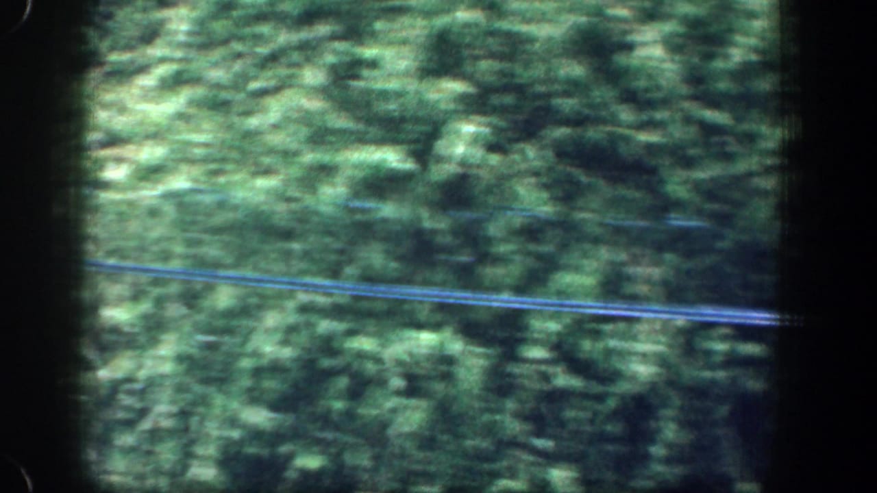 Motion-blurred 1961 8mm view of dense green foliage and fence rails from a moving vehicle or passenger viewpoint.