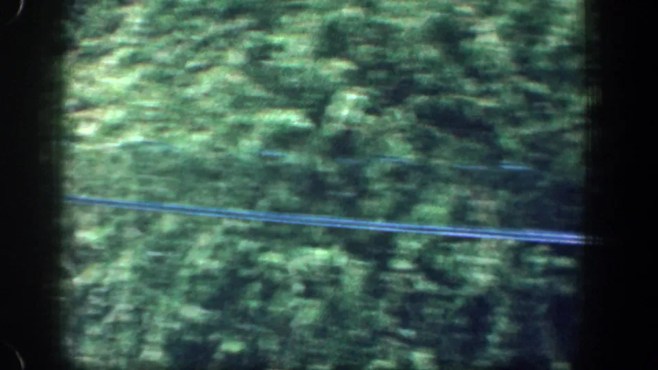 Motion-blurred 1961 8mm view of dense green foliage and fence rails from a moving vehicle or passenger viewpoint.