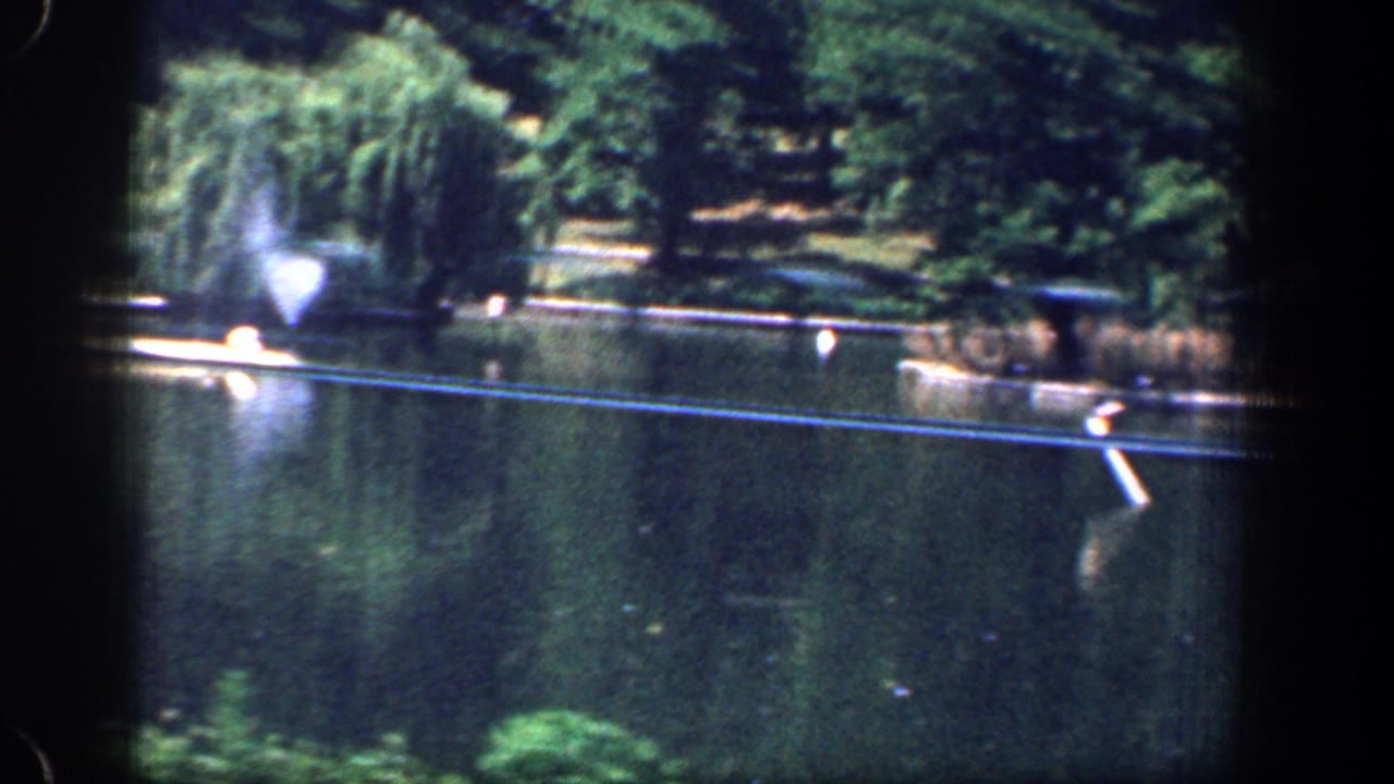1961 Washington, DC park lake scene with fountain spray, a weeping willow, shoreline trees, and reflected water.