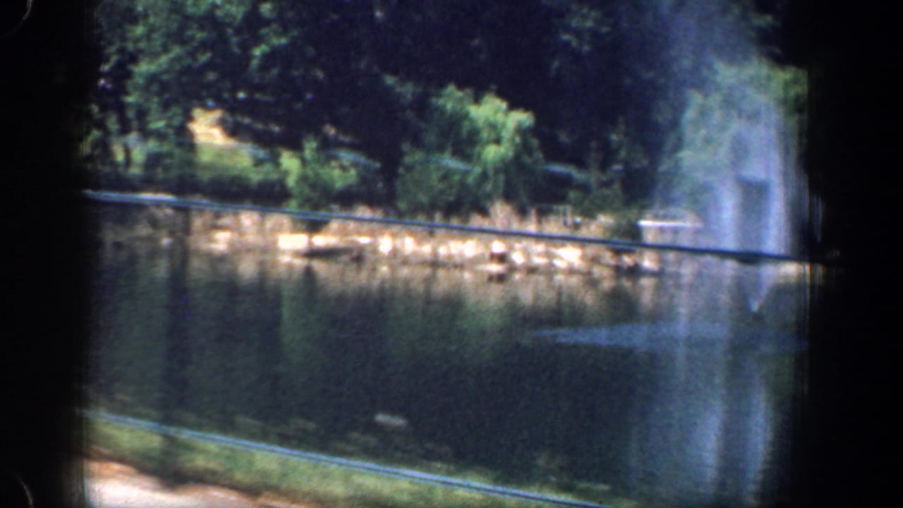 1961 Washington, DC park lake view with fountain spray at the right edge, dense trees, shoreline vegetation, and reflective water.