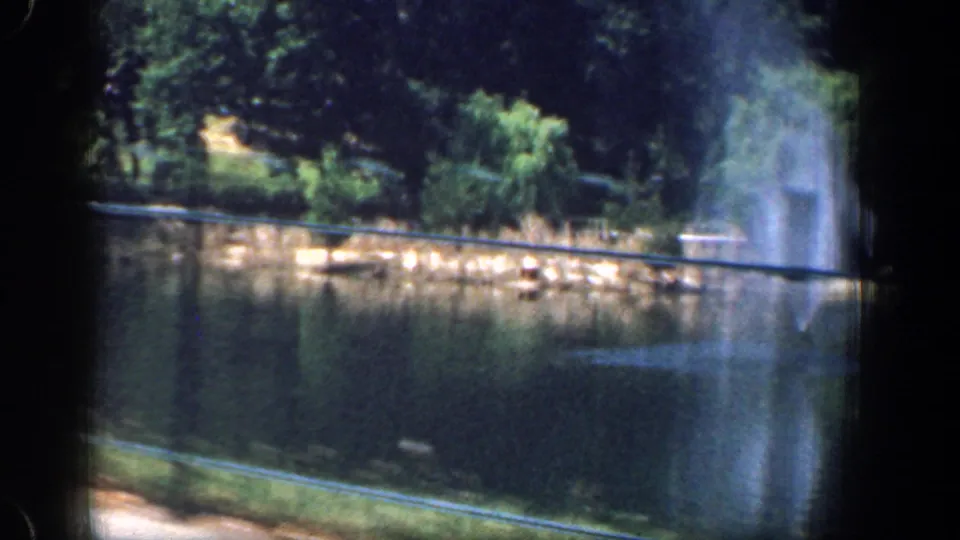 1961 Washington, DC park lake view with fountain spray at the right edge, dense trees, shoreline vegetation, and reflective water.