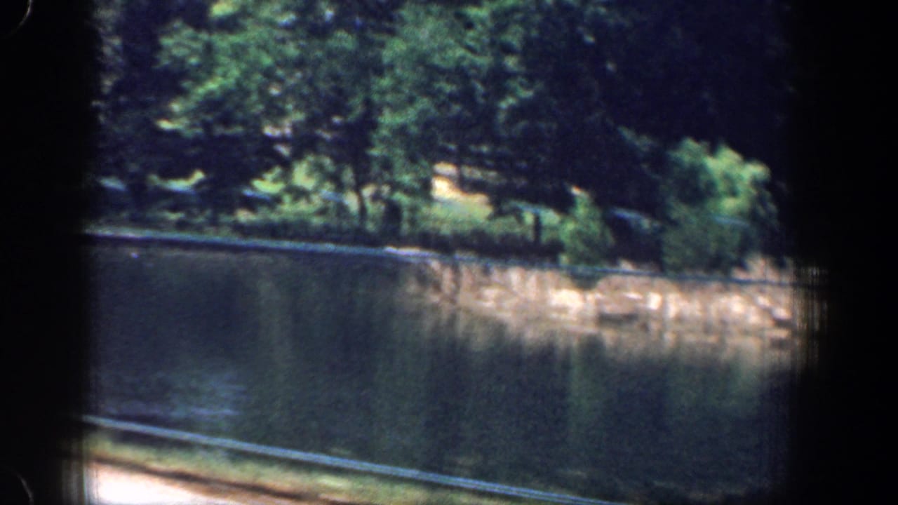 Tree-lined riverbank seen through dark film or window borders from a moving car.