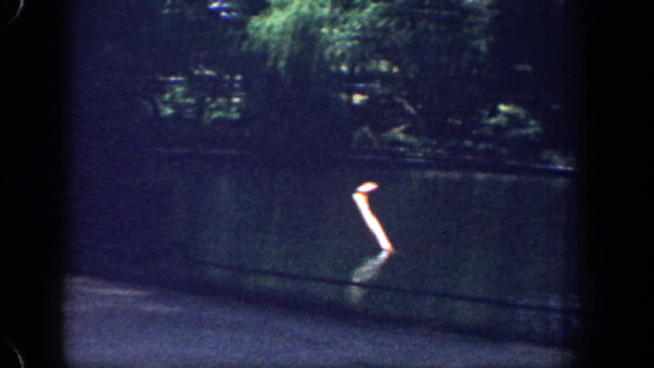 A small orange marker or post briefly appears near the river as the 8mm car-window view continues.
