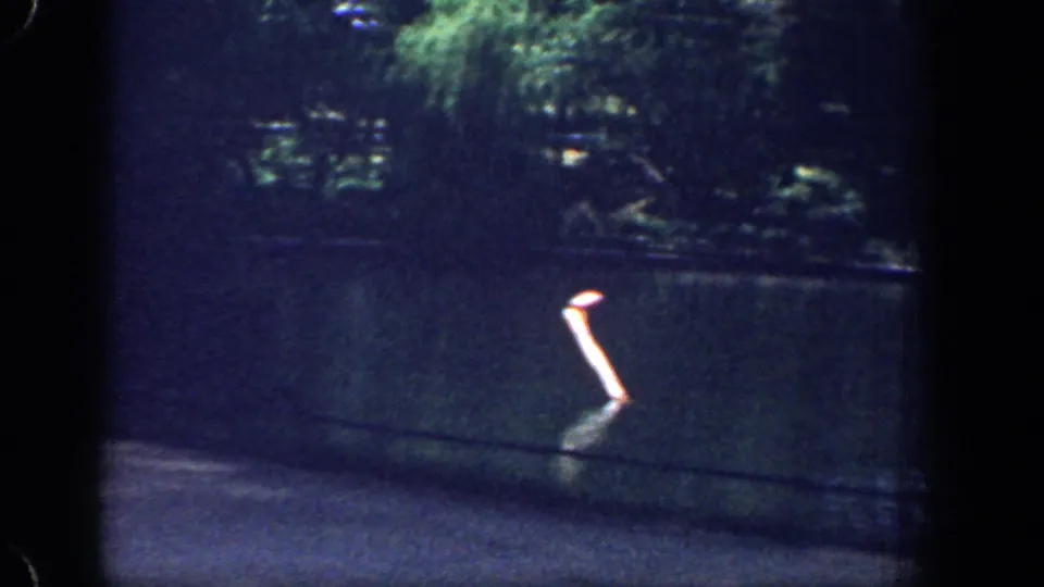 A small orange marker or post briefly appears near the river as the 8mm car-window view continues.