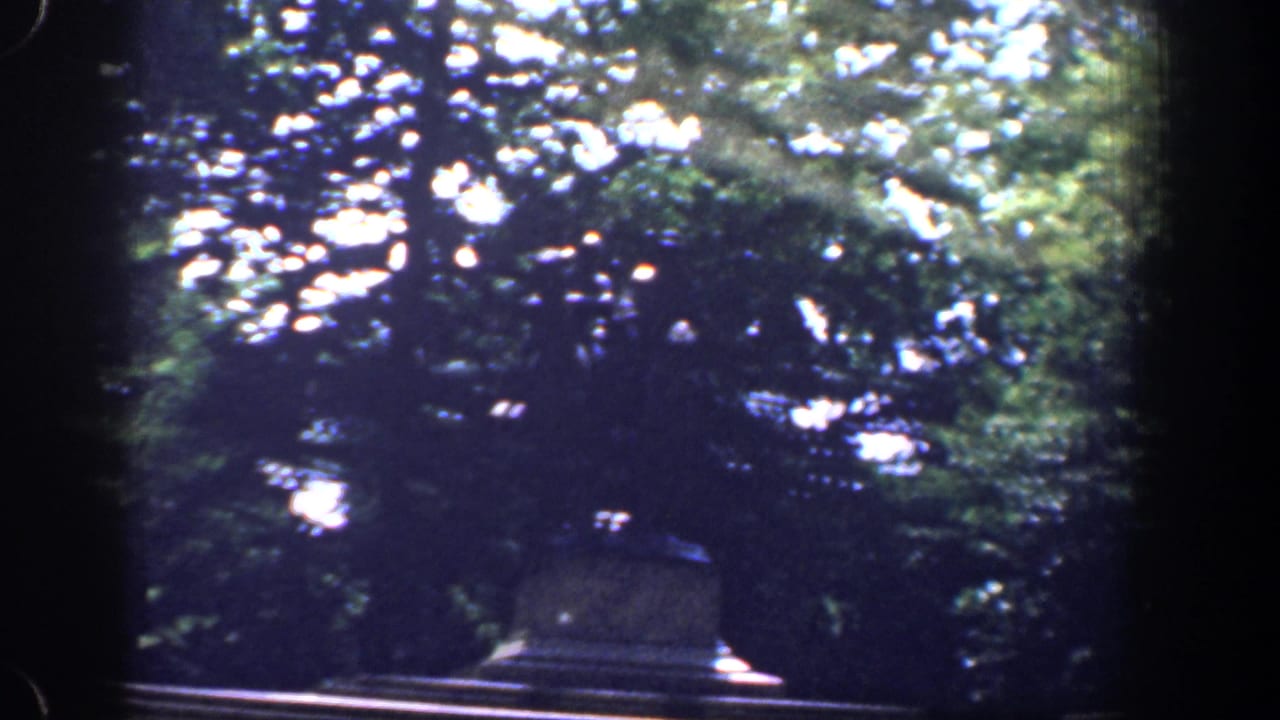 Shimmering reflections and dense green leaves fill the frame near the end of the 1961 riverside car ride.