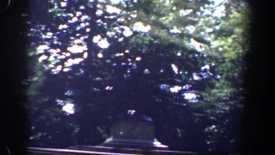 Shimmering reflections and dense green leaves fill the frame near the end of the 1961 riverside car ride.