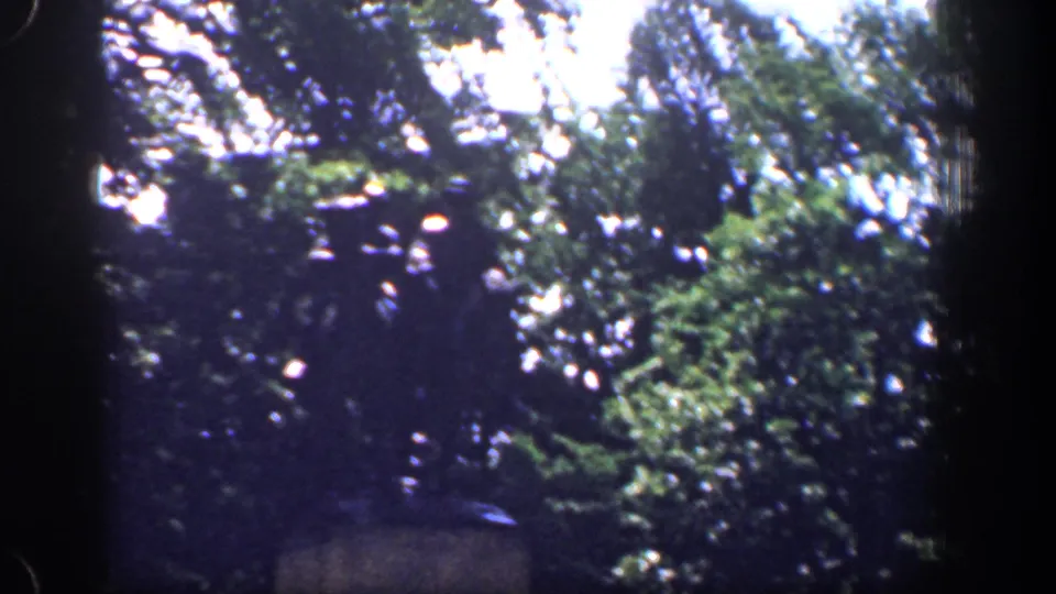 1961 Washington DC home-movie frame showing leafy roadside trees in soft focus from a moving vehicle.