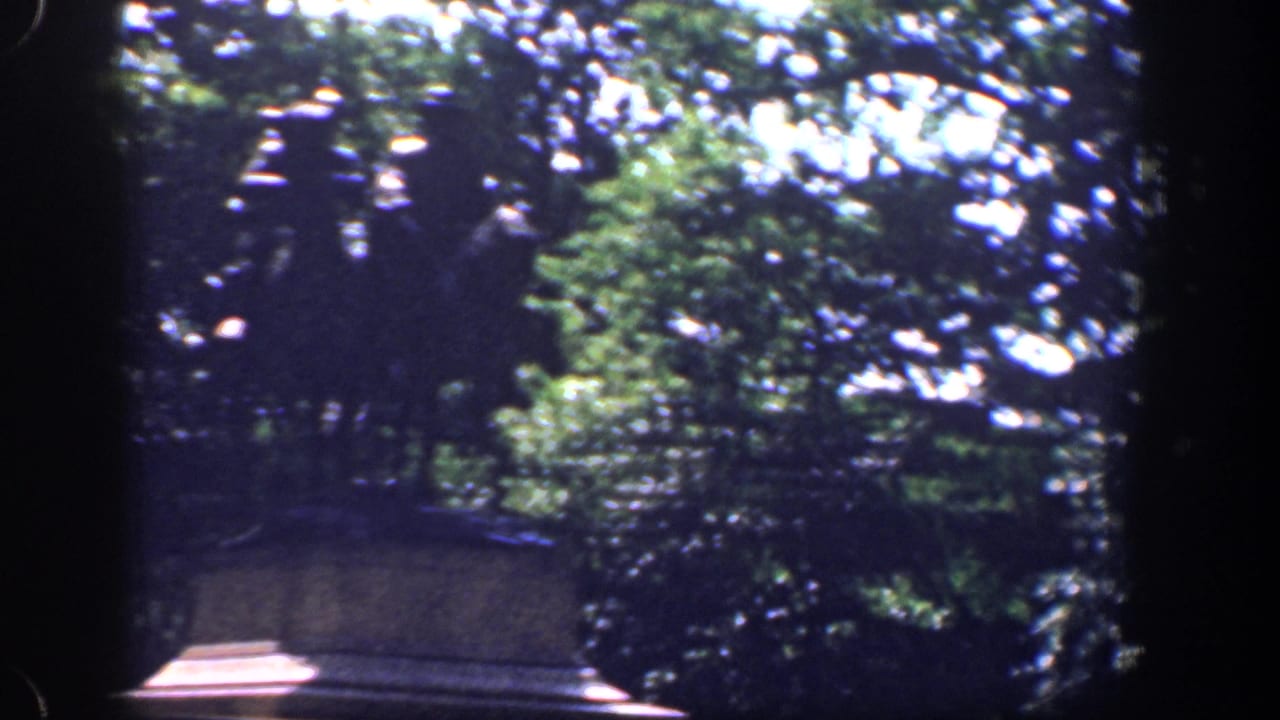 A dark statue of two mounted figures appears above a stone pedestal, partly surrounded by Washington DC greenery.