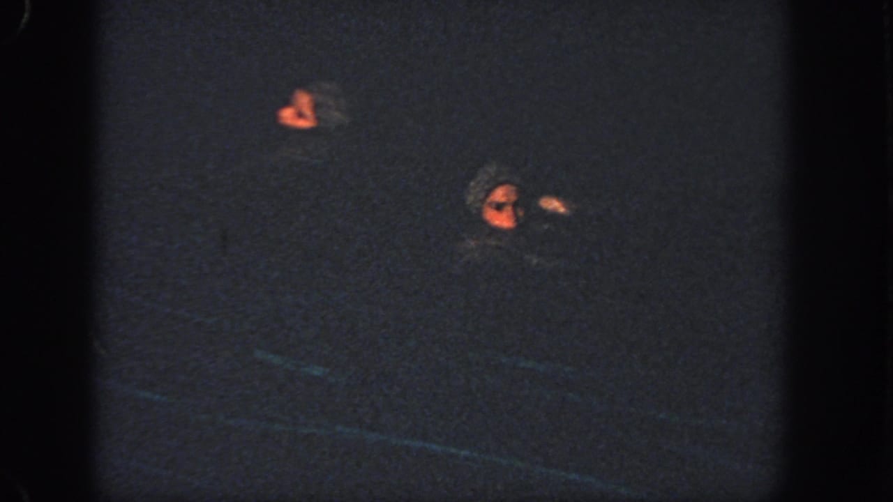 Two women in swim caps are visible in a dark pool, separated in the frame as part of a synchronized swimming movement.