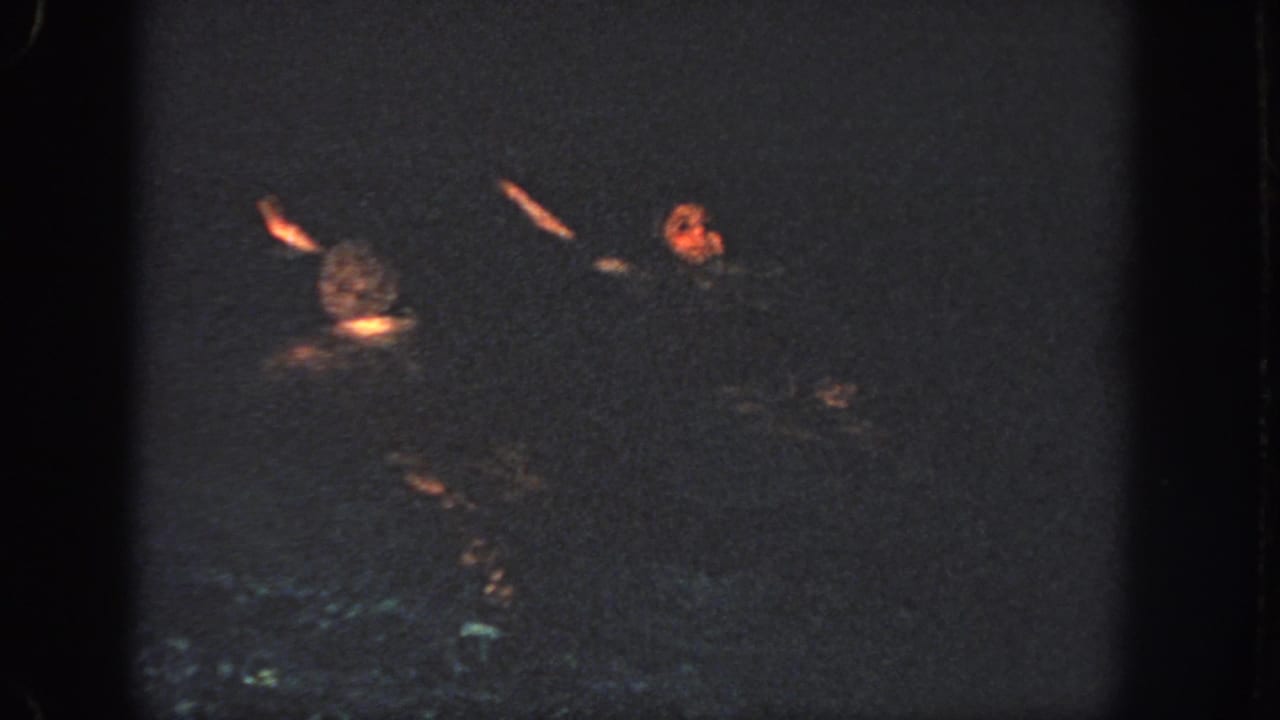 The two swimmers continue synchronized movements in low light, with arms and one face visible against dark water.