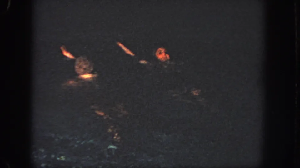 The two swimmers continue synchronized movements in low light, with arms and one face visible against dark water.