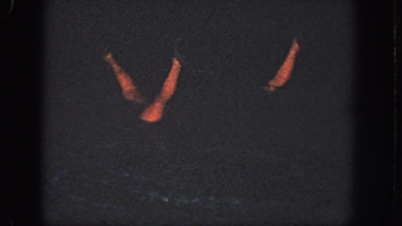 1951 Georgia 8mm frame showing two warm-lit swimmer limbs against a dim underwater pool background.