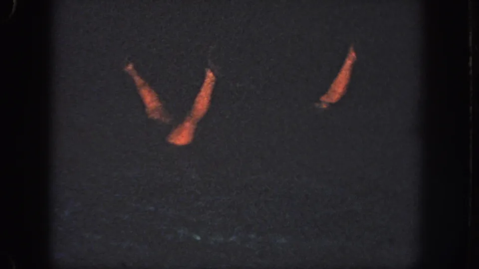 1951 Georgia 8mm frame showing two warm-lit swimmer limbs against a dim underwater pool background.