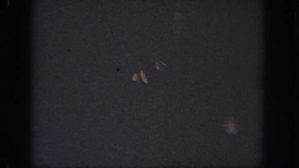 1951 Georgia 8mm frame showing dark water, faint orange highlights, film grain, and visible gate edges.