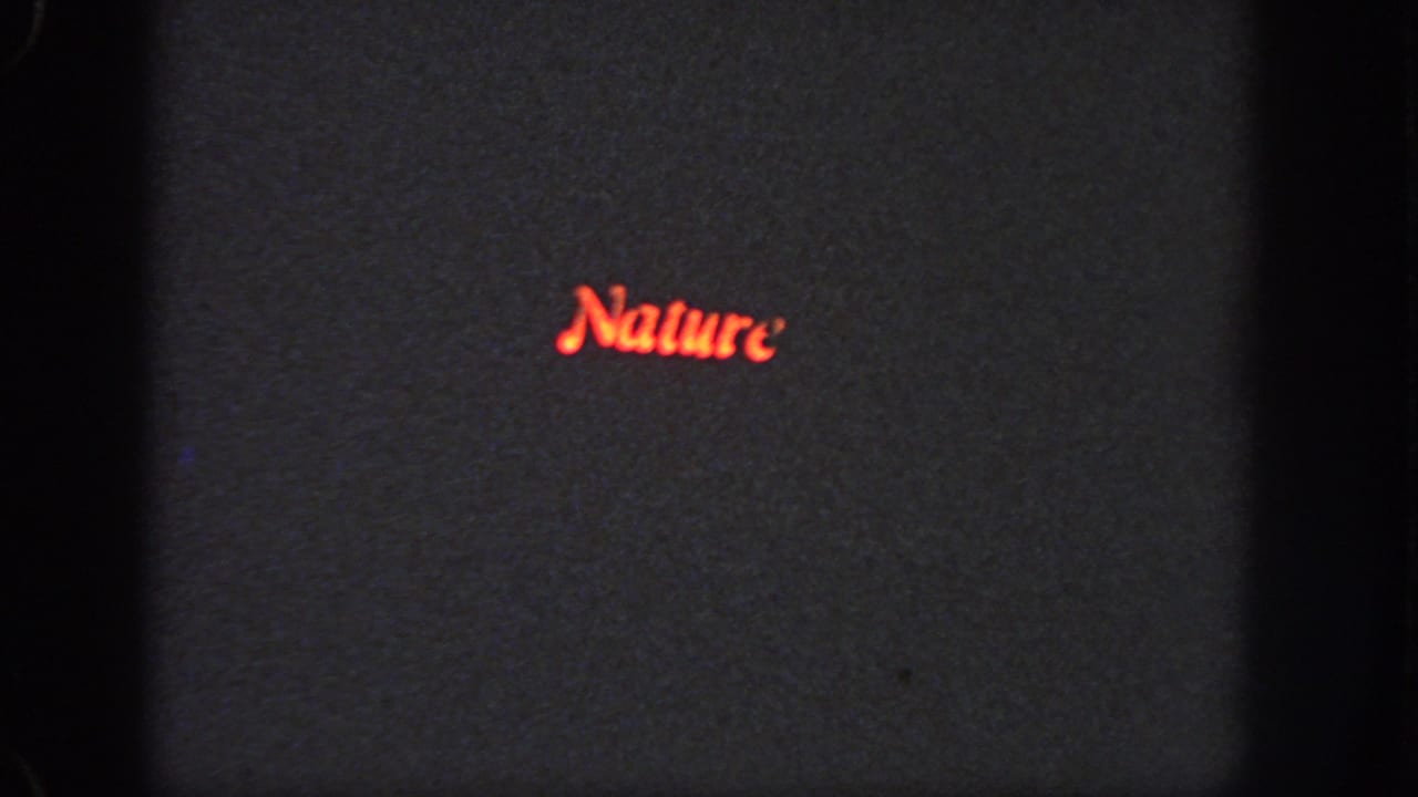 Red illuminated "Nature" sign on a dark grainy background with film edge shadows.