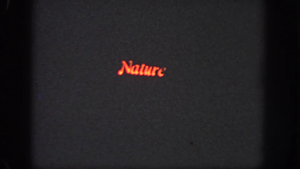 1951 Georgia 8mm frame showing a small red illuminated "Nature" sign against a dark, grainy background.
