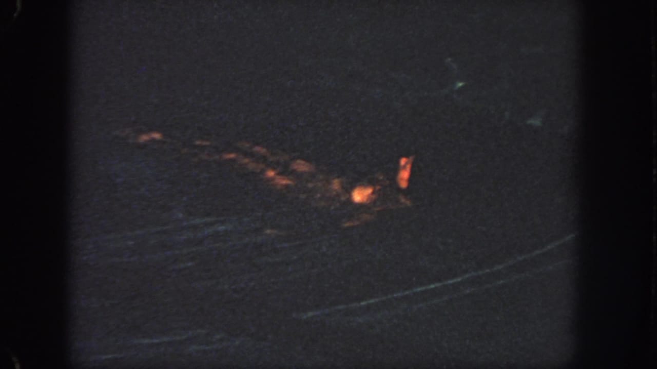 Distant night view of dark water with an orange life jacket or flotation shape visible near the surface.