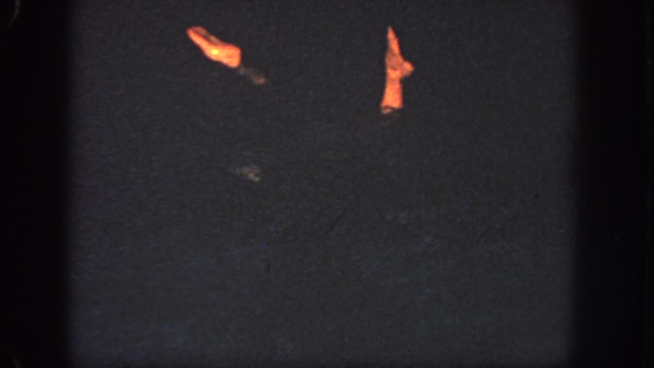 1951 Georgia 8mm frame with the swimmer mostly in shadow, leaving two warmly lit limbs visible above dark pool water.