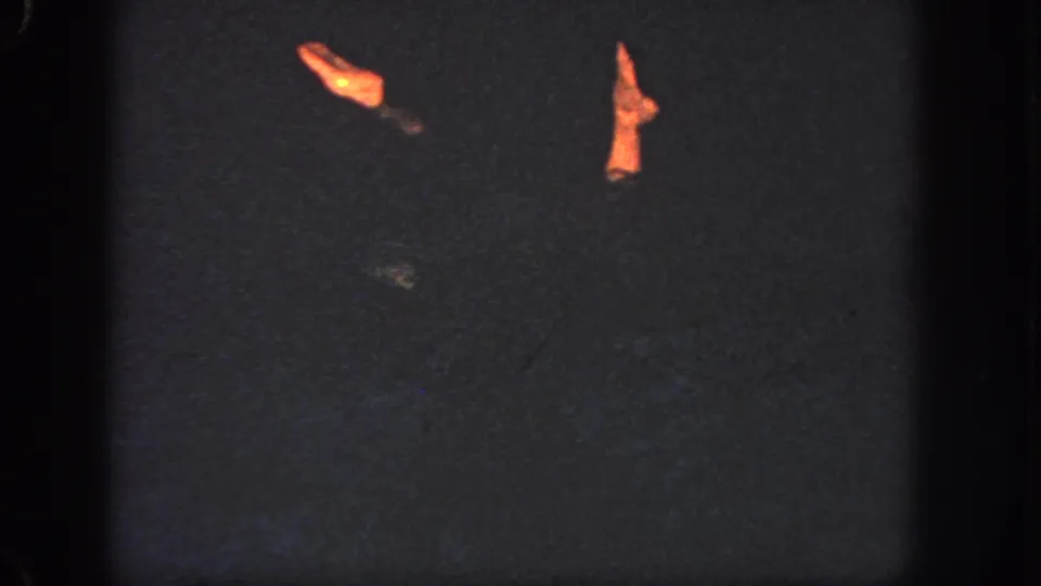 1951 Georgia 8mm frame with the swimmer mostly in shadow, leaving two warmly lit limbs visible above dark pool water.