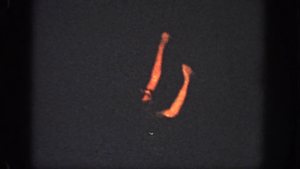1951 Georgia home-movie frame showing the swimmer’s legs and arm emerging from dark pool water during a practiced move.