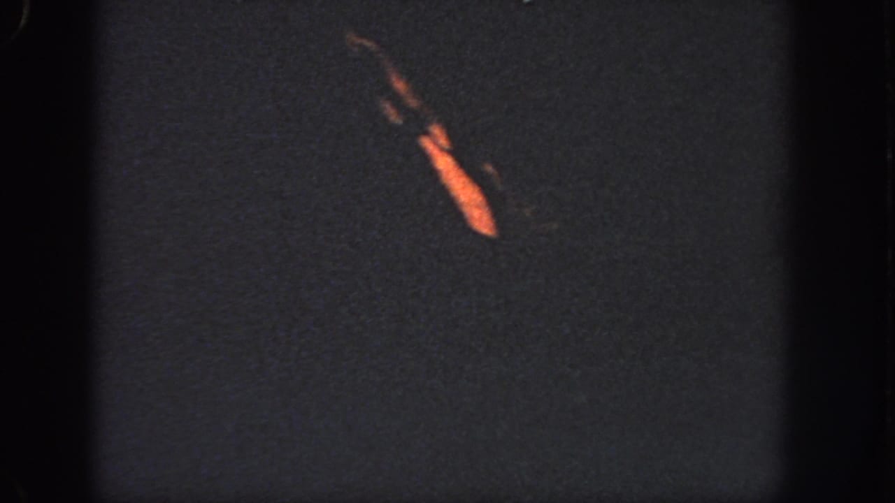 In this 1951 Georgia 8mm frame, a distant swimmer appears as a warm orange shape against dark water.