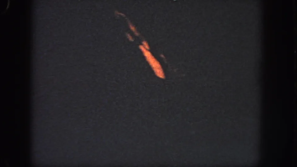 In this 1951 Georgia 8mm frame, a distant swimmer appears as a warm orange shape against dark water.