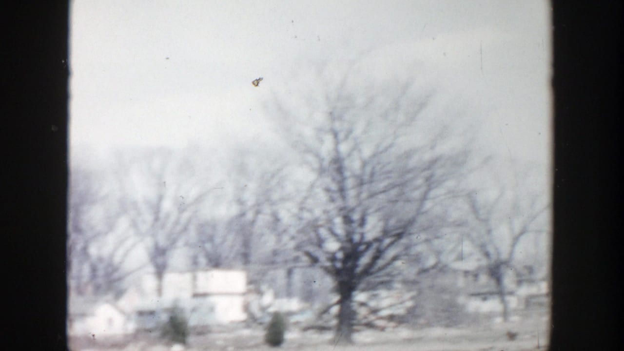 Soft 8mm view of bare trees and distant houses in a pale residential yard.