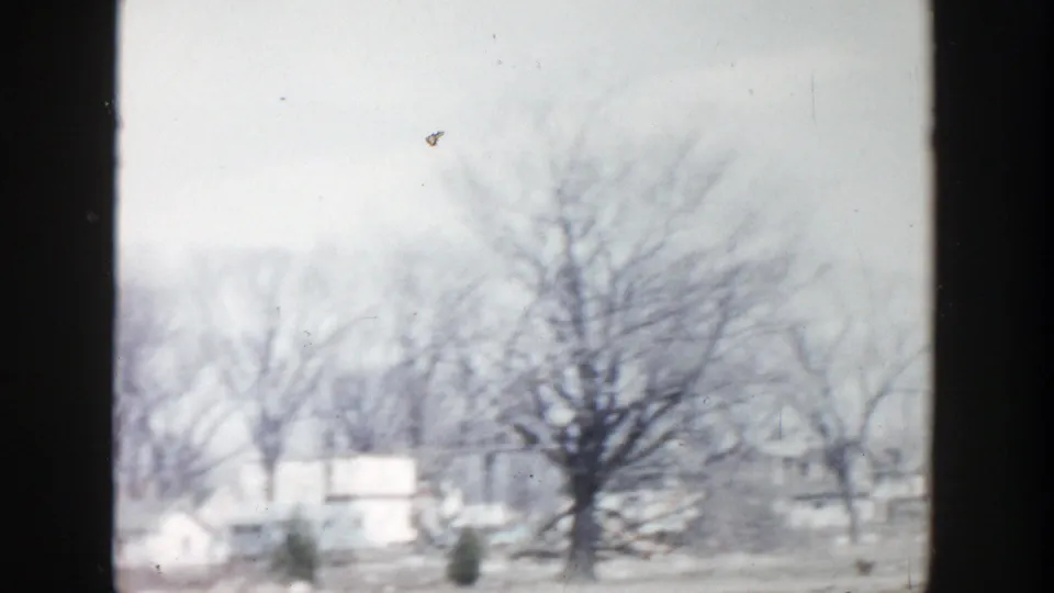 1956 Grand Rapids home-movie frame showing leafless trees, pale ground, and small houses in a quiet residential area.
