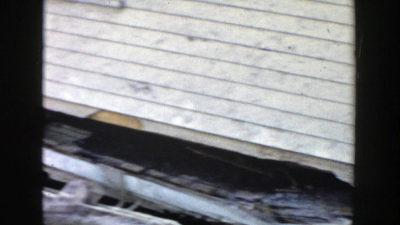 Close view of damaged siding and the lower edge of a white house.