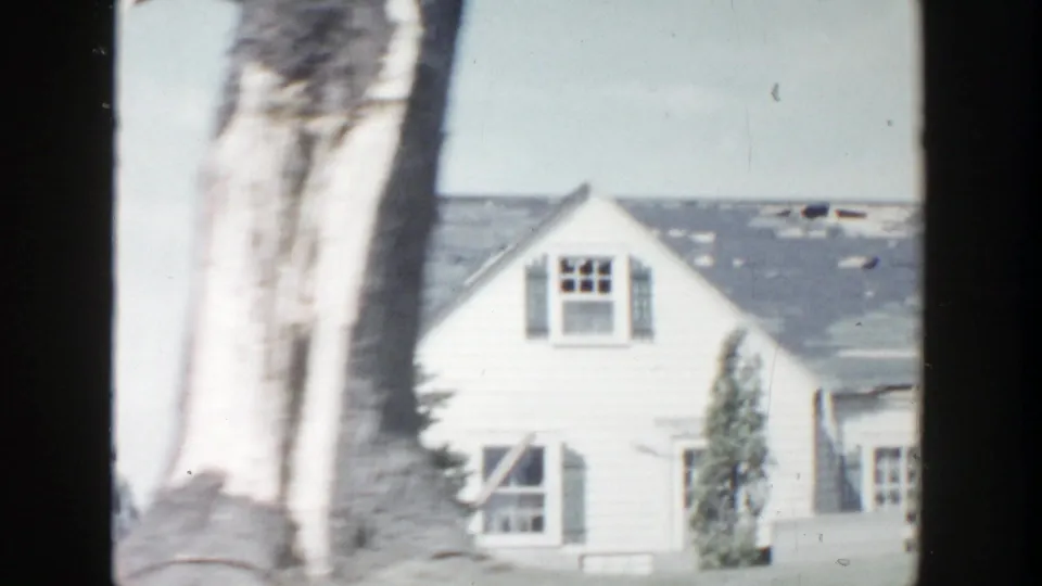 White residential house in Grand Rapids, Michigan, partly blocked by a tree trunk, with worn roof areas visible.