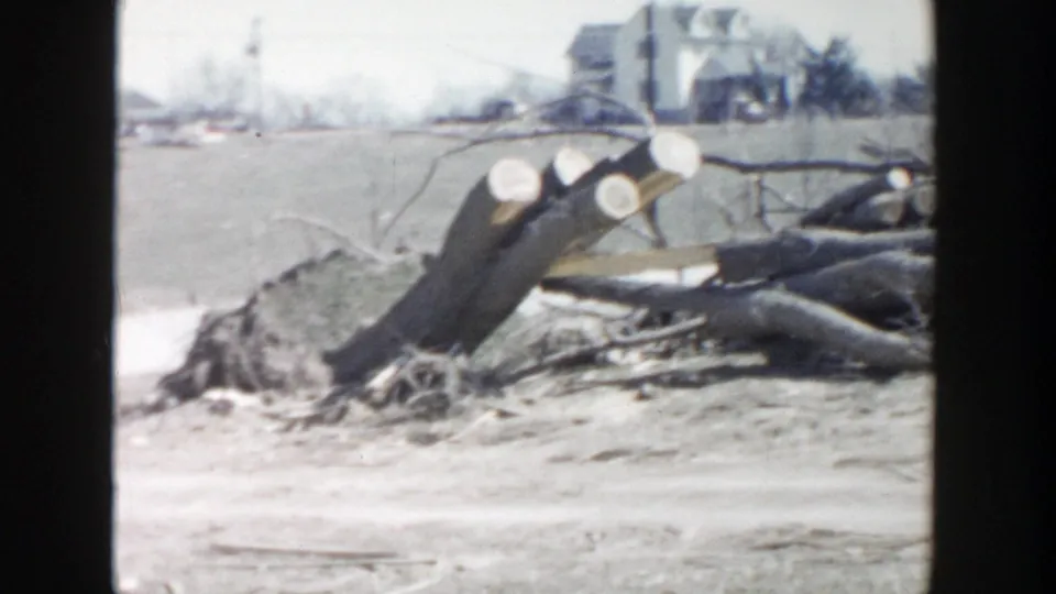 The camera view lands on freshly cut logs and branches in a yard, with a distant house visible in the 1956 Grand Rapids setting.