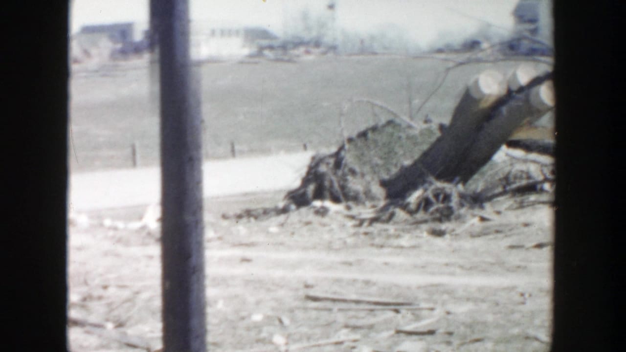 1956 Grand Rapids home-movie frame showing uprooted trees, pale ground, and distant structures beyond a debris-strewn edge.
