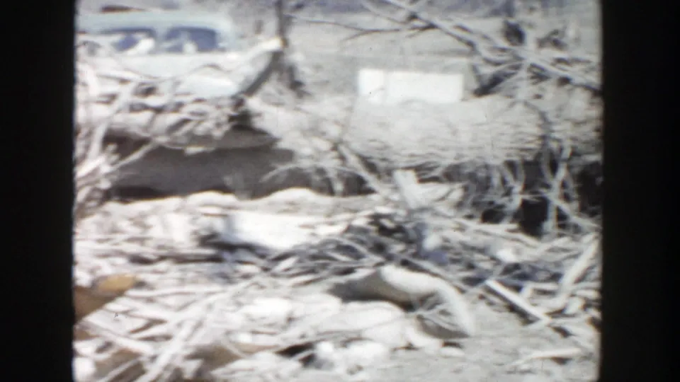 1956 Grand Rapids frame with a dense pile of branches, roots, and pale wood debris filling most of the view.