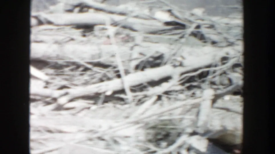Home-movie view of fallen limbs and scattered debris on bare ground in Grand Rapids, Michigan, in 1956.
