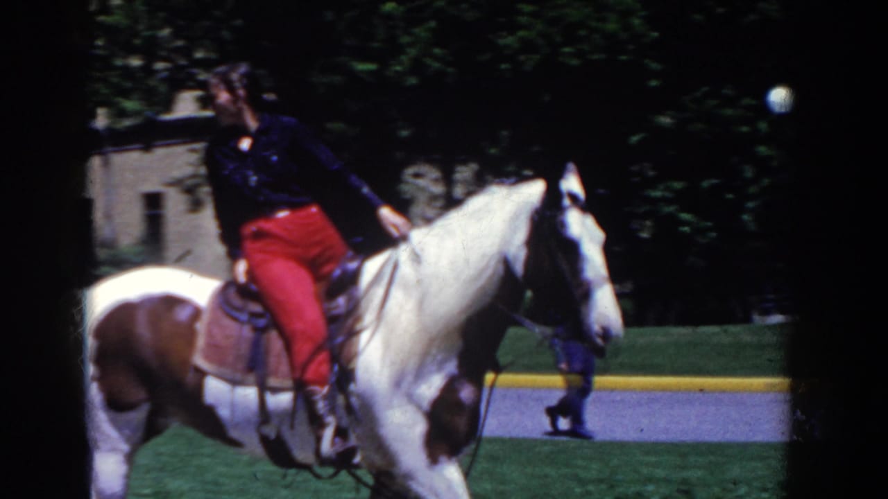 Rider in red pants on a white and brown pinto horse in a sunny park.