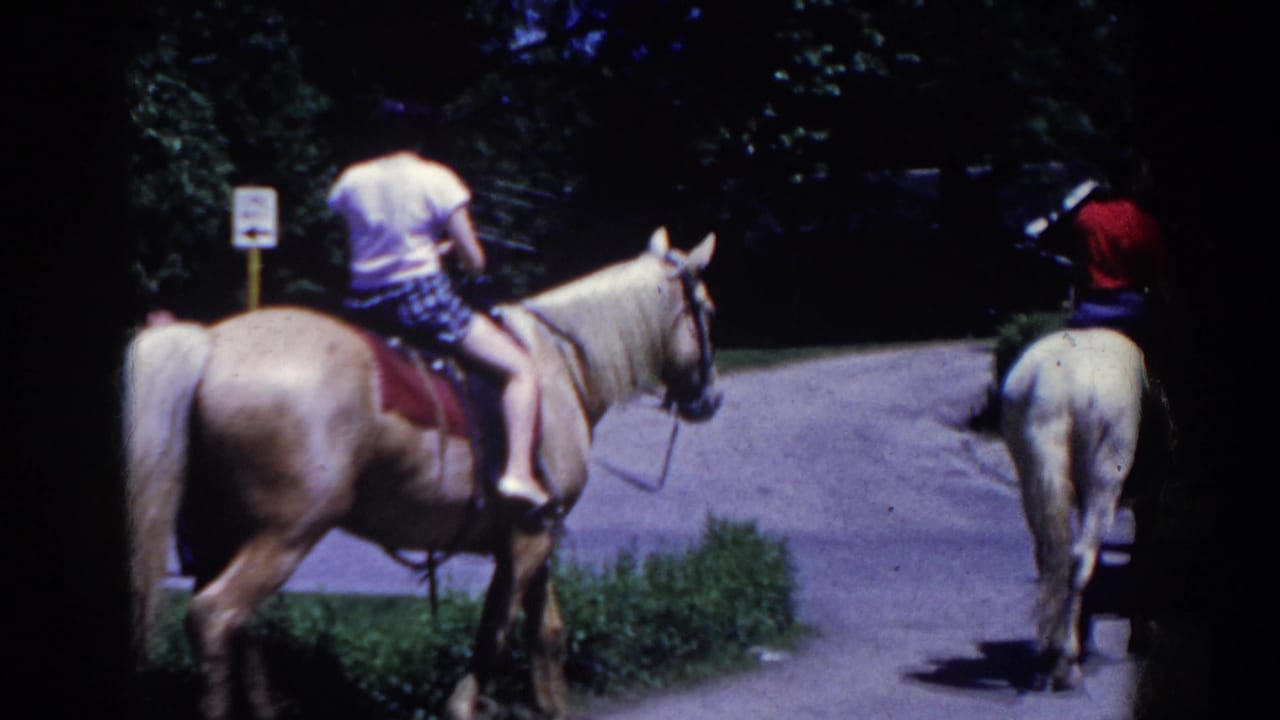 Two riders on light-colored horses moving along a paved path near trees.