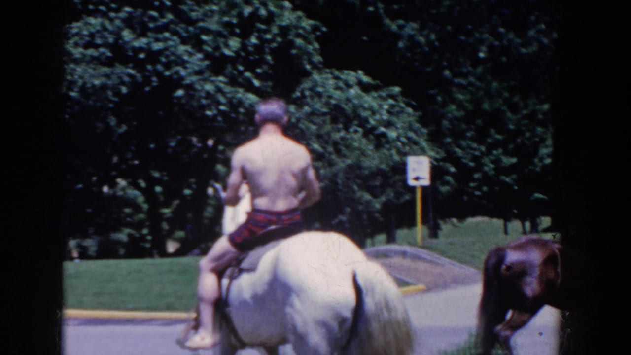 The rider is seen from behind on the white horse, with a brown horse partly visible on the road in French Lick.