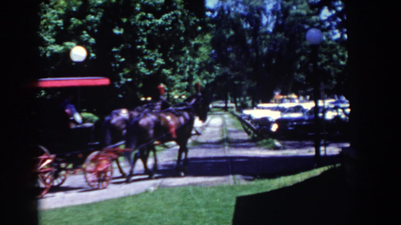 Two horses pull a red-wheeled buggy along a sunny tree-lined street.