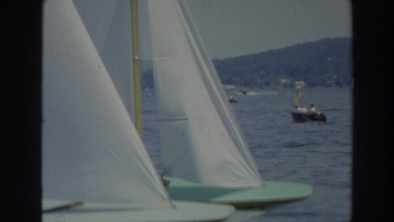 White sailboats on a lake with wooded shoreline in the distance.