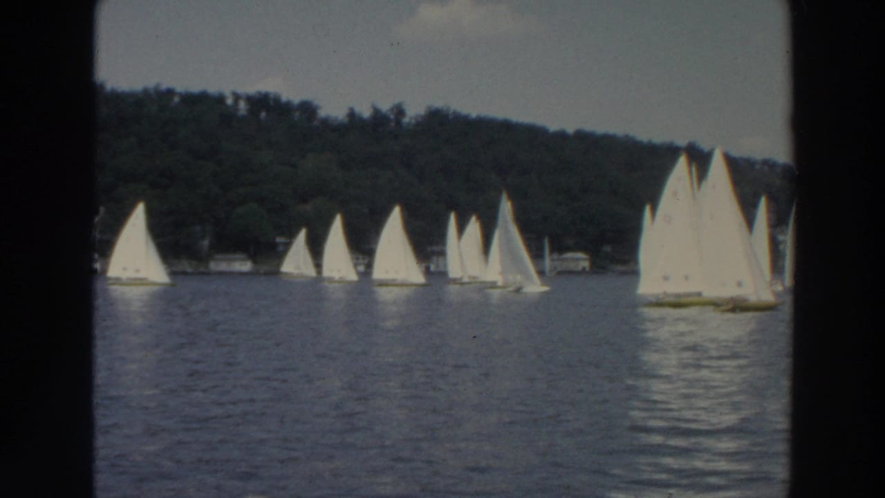 Several white sailboats cross a lake with a wooded shoreline in the distance.