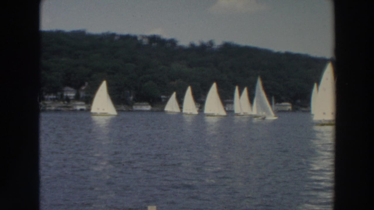 A line of white sailboats sails across rippled water near a wooded bank.