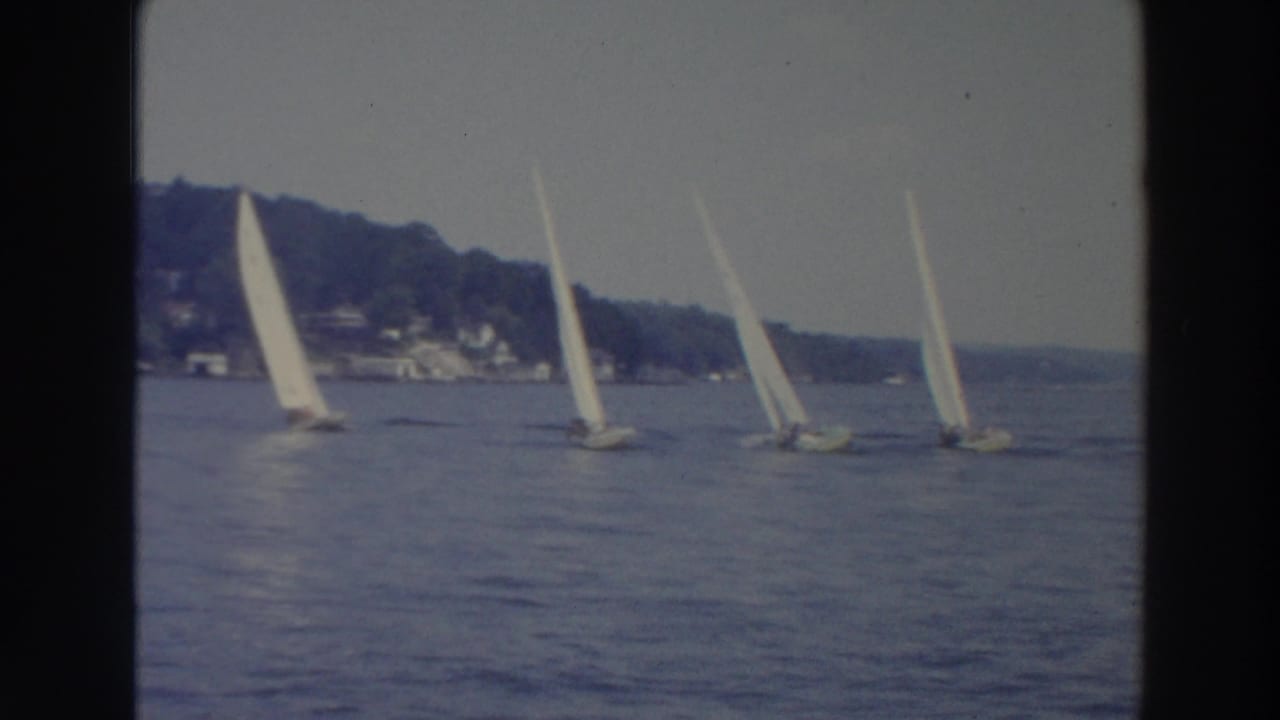 Several white sailboats move across a lake with a wooded shoreline behind them.