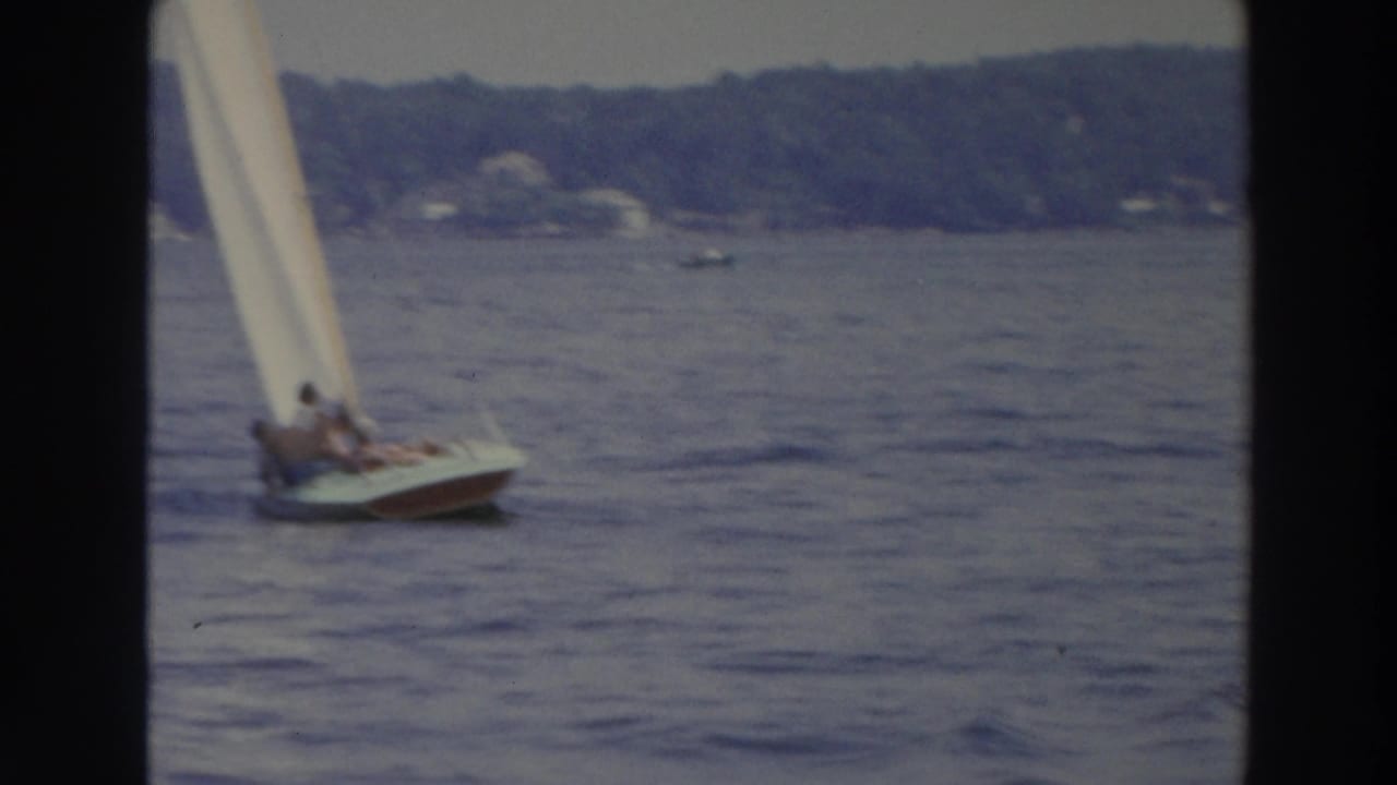Small sailboat with a white sail moving across blue water near a wooded shore.