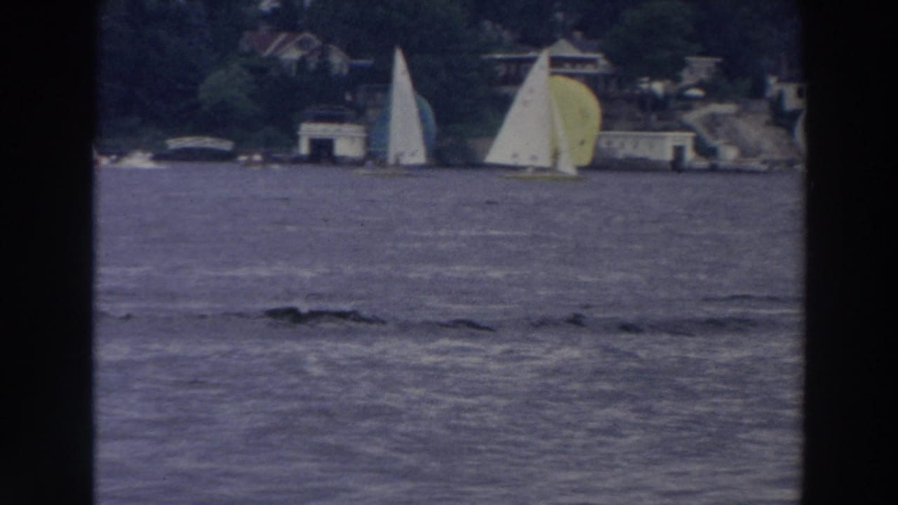 1966 Wisconsin lake scene with clustered sailboats, including white and yellow sails, against trees and shoreline buildings.