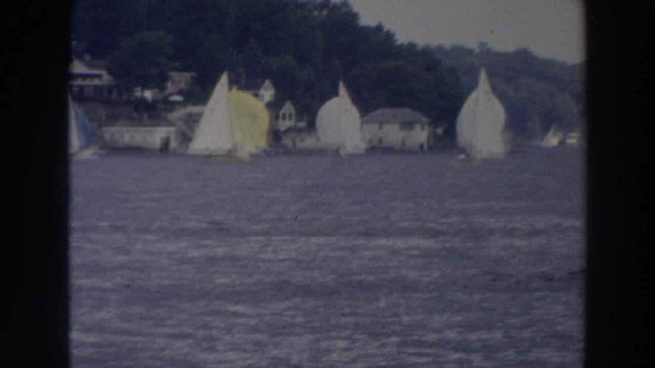 White sailboats on a blue lake near a wooded shoreline and lakeside buildings.