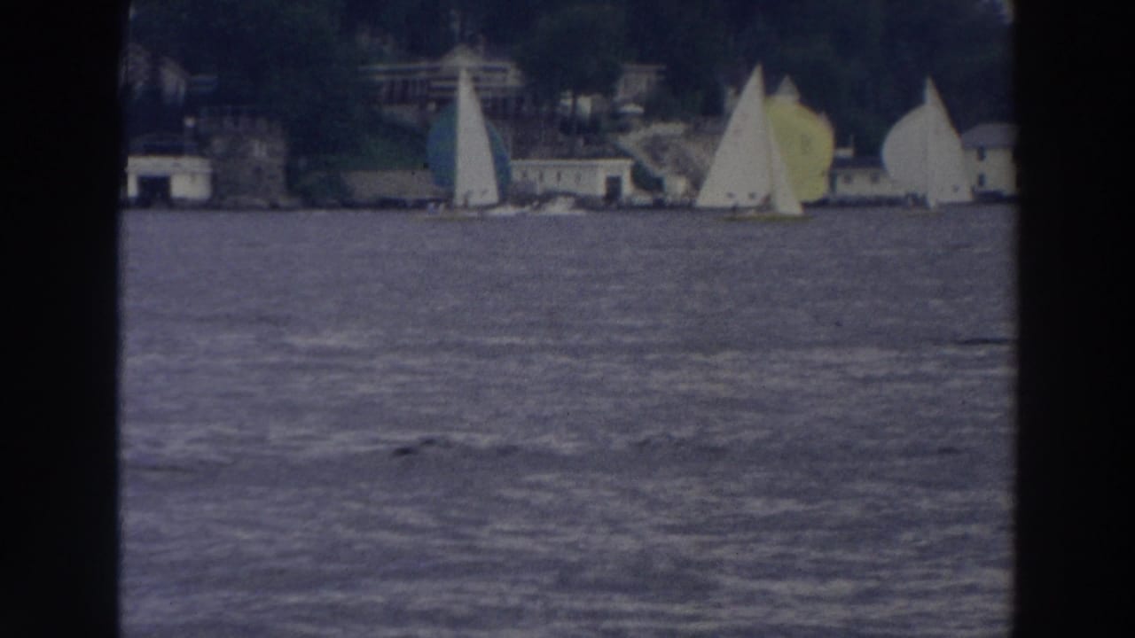 1966 Wisconsin lake view with several small sailboats and a tree-lined shoreline behind them.